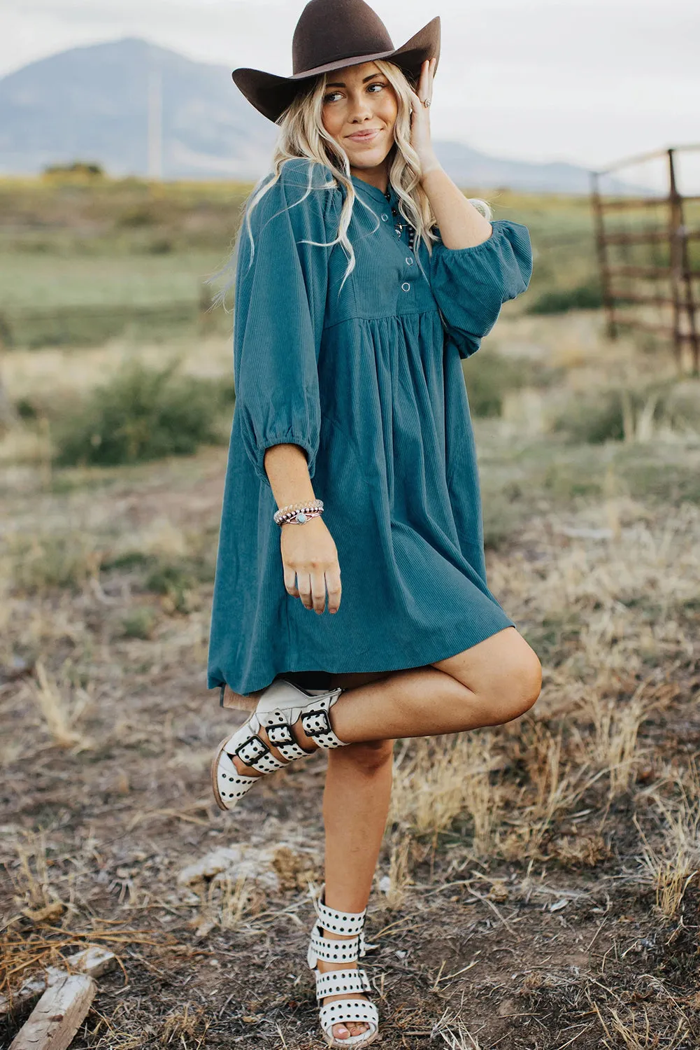 3/4 Sleeve Maternity A-line Dress