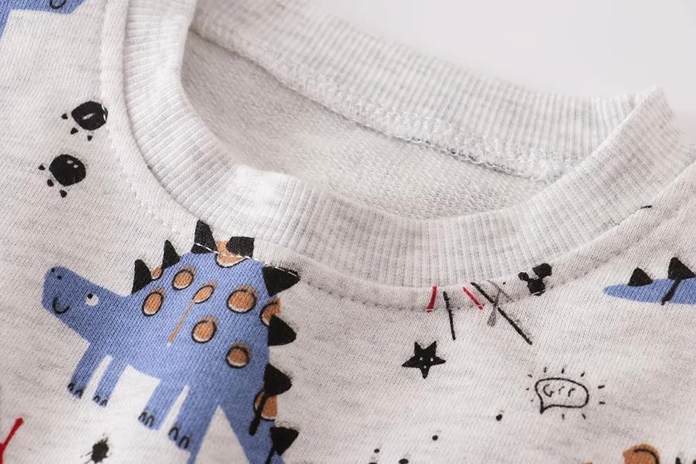 AIWUHE Toddler Sweatshirt Boys Girls Crewneck Pullover Tops Blouse Long Sleeve Cotton T-Shirt Fall Winter Clothes 2-6Y