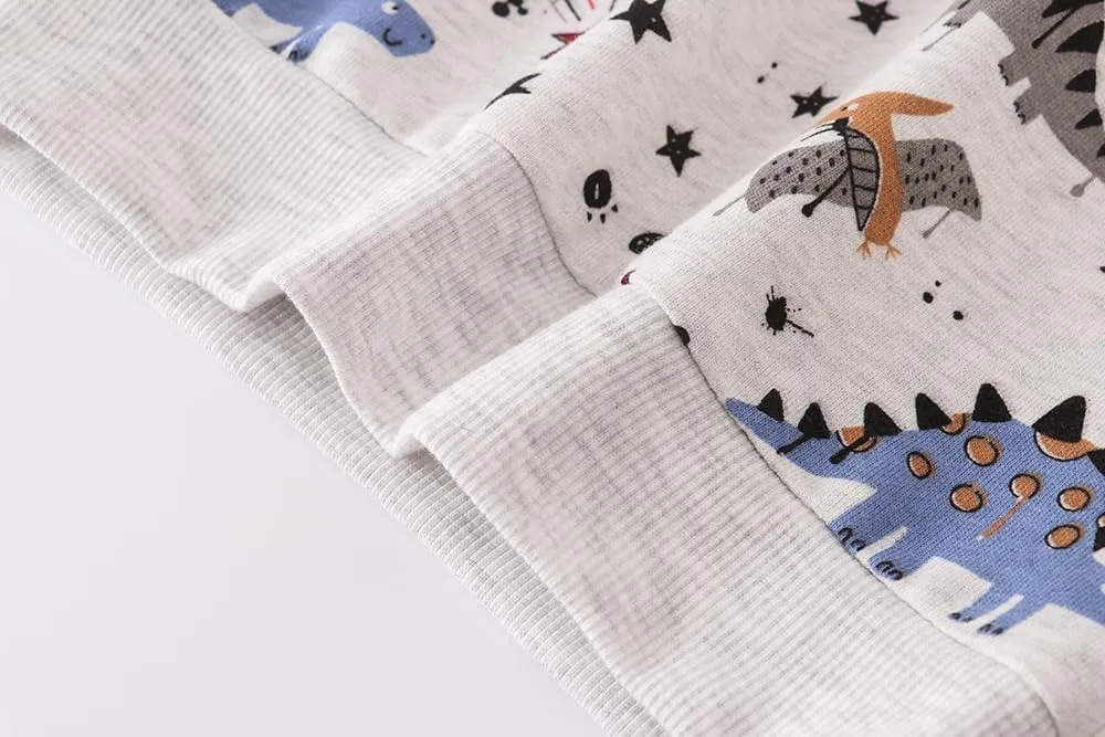 AIWUHE Toddler Sweatshirt Boys Girls Crewneck Pullover Tops Blouse Long Sleeve Cotton T-Shirt Fall Winter Clothes 2-6Y