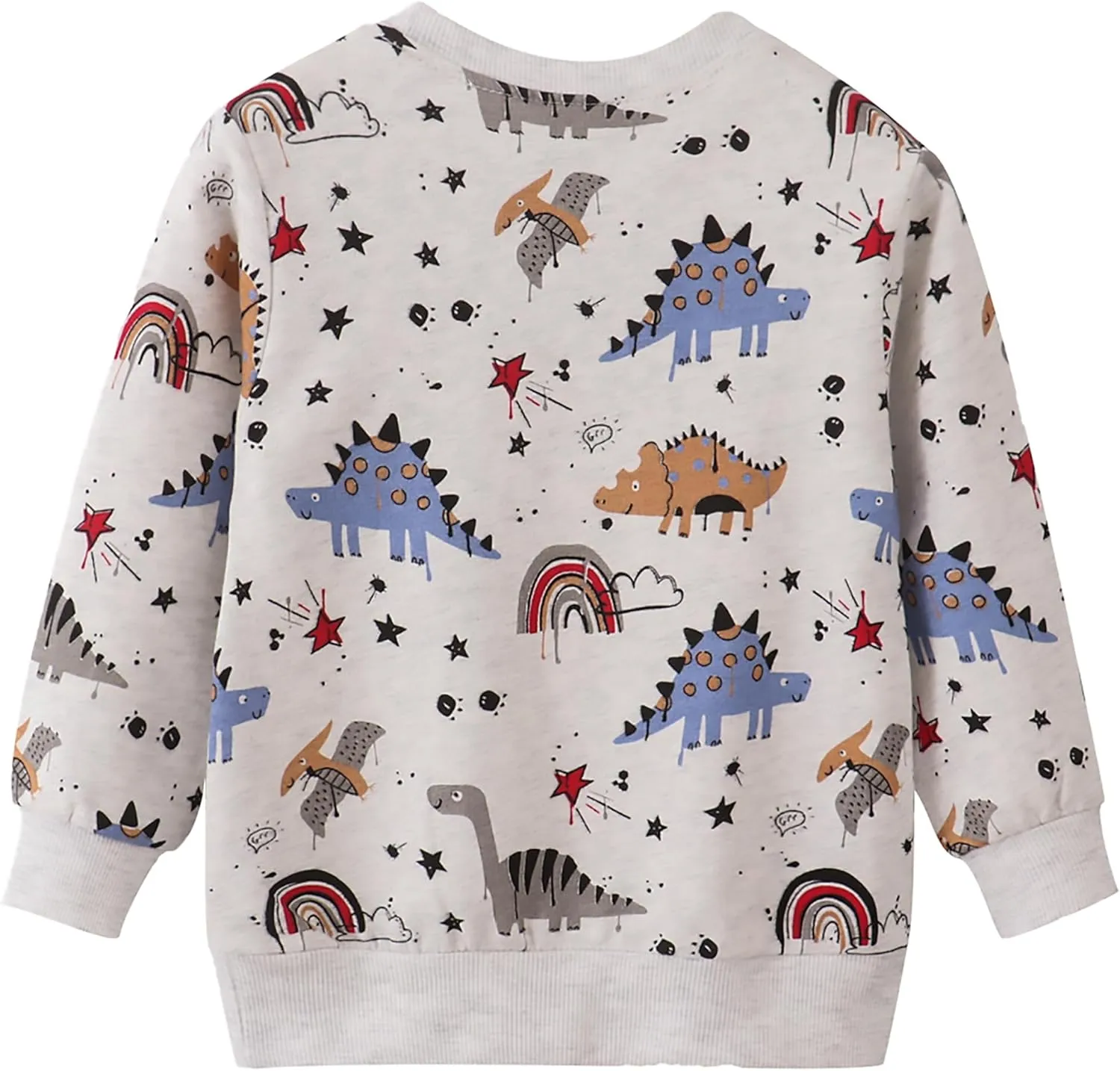 AIWUHE Toddler Sweatshirt Boys Girls Crewneck Pullover Tops Blouse Long Sleeve Cotton T-Shirt Fall Winter Clothes 2-6Y