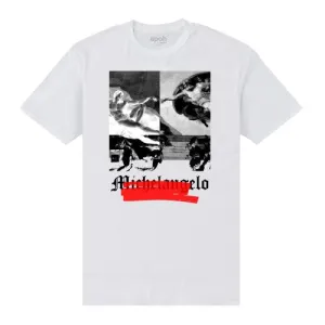 Apoh Unisex Adult Negative Michelangelo T-Shirt