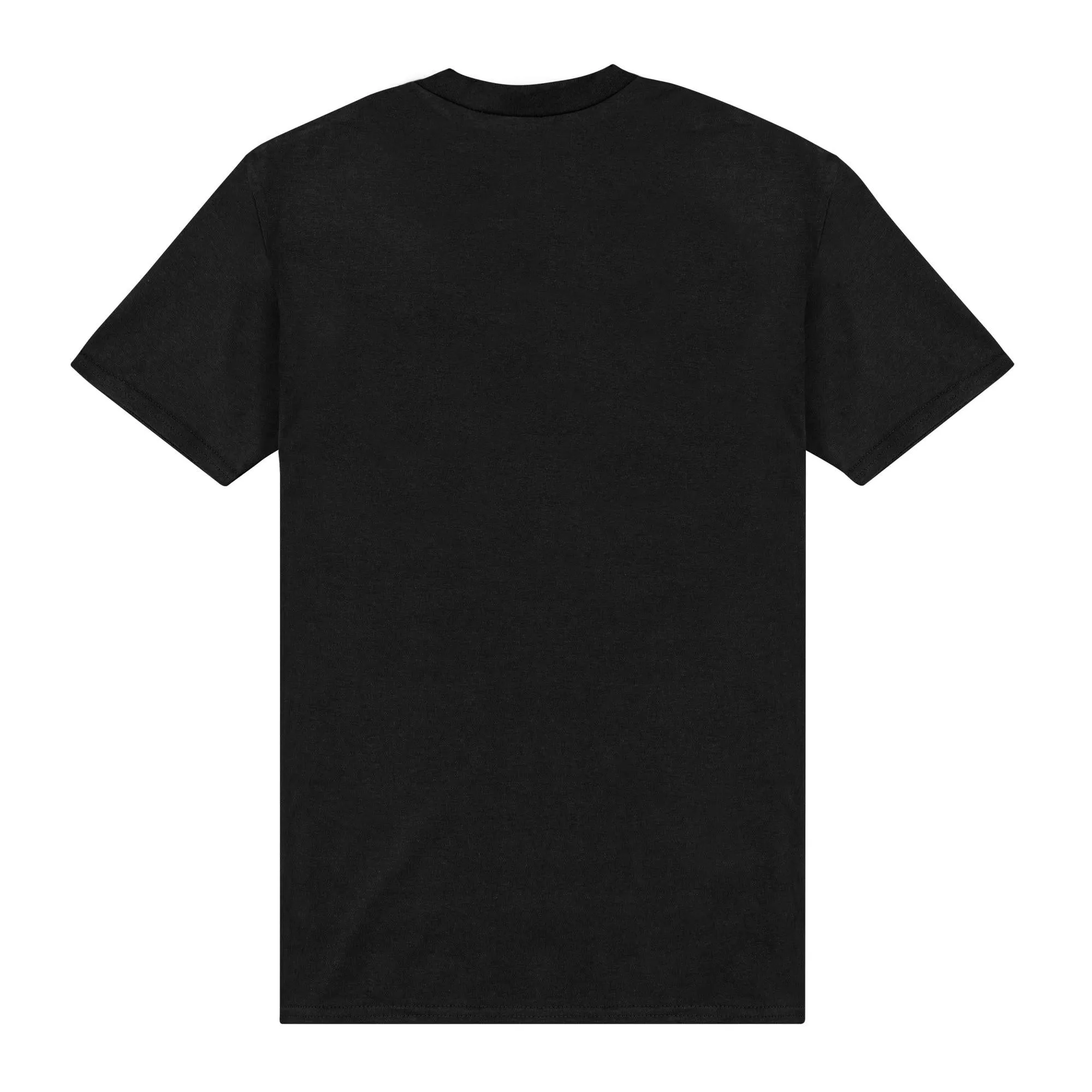 Apoh Unisex Adult Off Kanagawa Hokusai T-Shirt