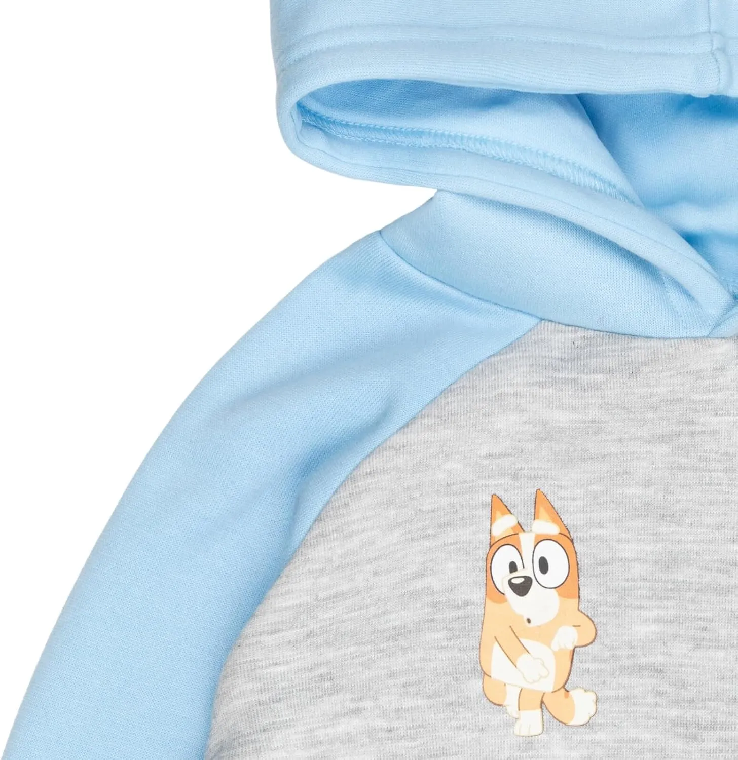 Bluey Fleece Hoodie