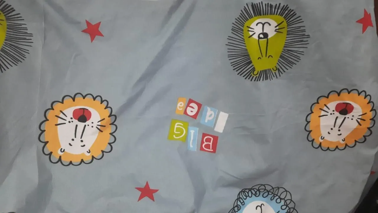 Cartoon Printed Fitted With Elastic Double Bedsheet