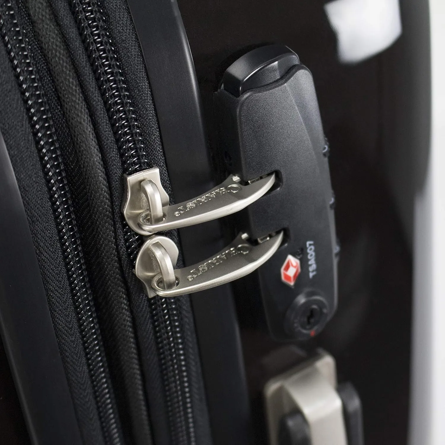 Chariot Printed Expandable Hardside Spinner Luggage Set, Printed Expandable Hardside Spinner Luggage Set