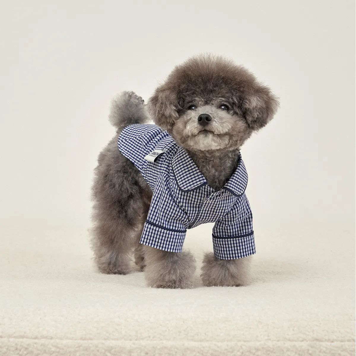 Cotton Dog Sleepwear Navy