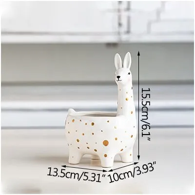 Creative ceramic planter