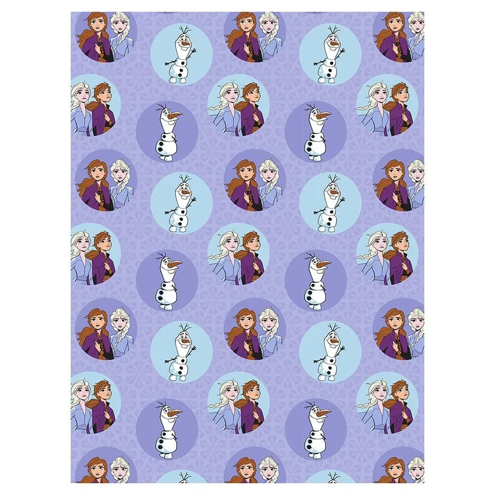 Disney Frozen Twin Full Silk Touch Blanket Throw