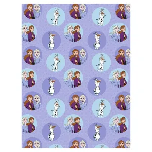 Disney Frozen Twin Full Silk Touch Blanket Throw