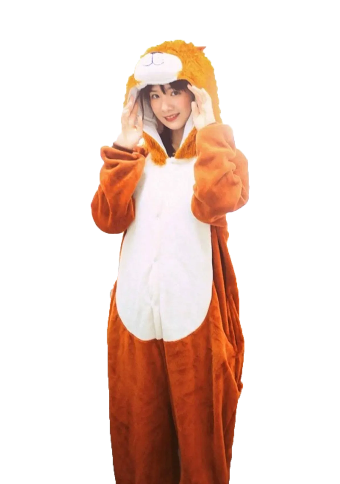 Fluffy Lion Onesie