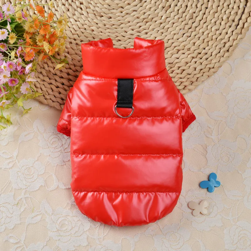 Glossy Pet Coat