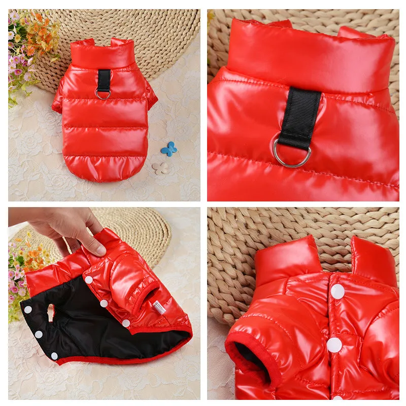 Glossy Pet Coat