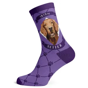 Irish Setter Socks