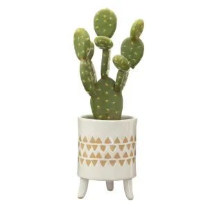 Isabella Leggy Planter