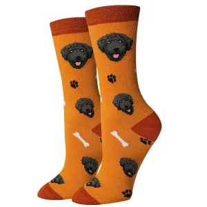 Labradoodle Socks