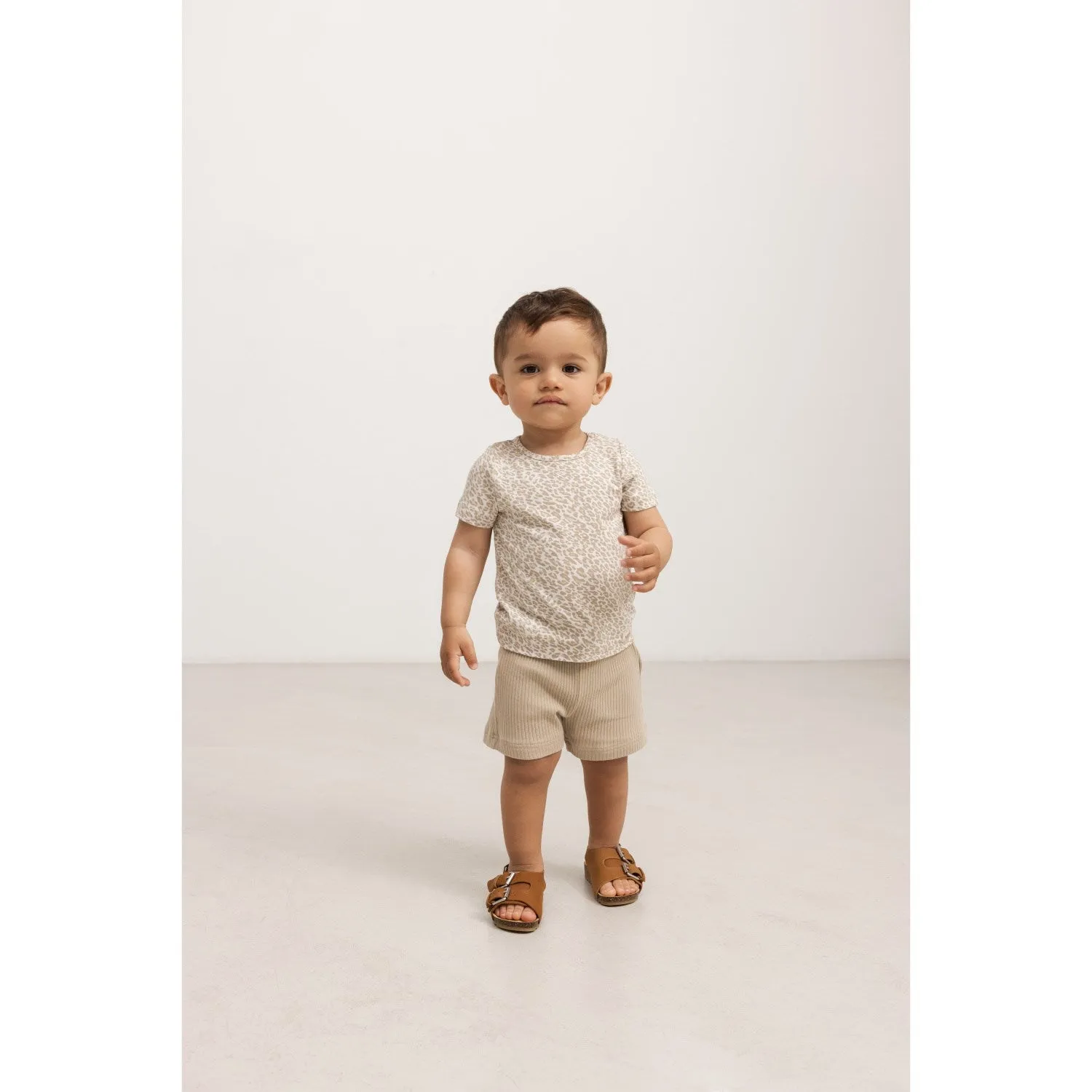 MarMar Modal Stone Wall Shorts