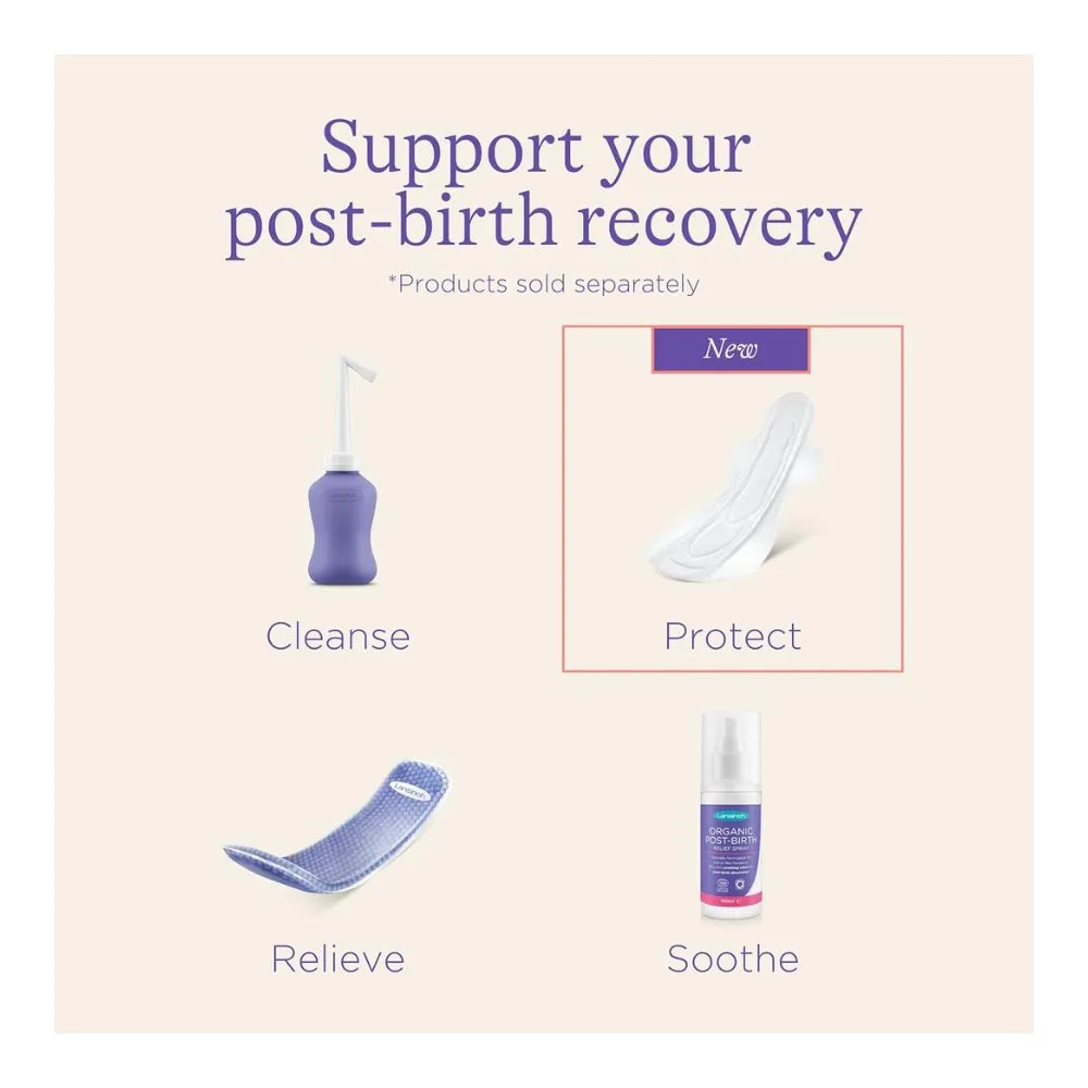 Maternity Pads - Pack Of 12
