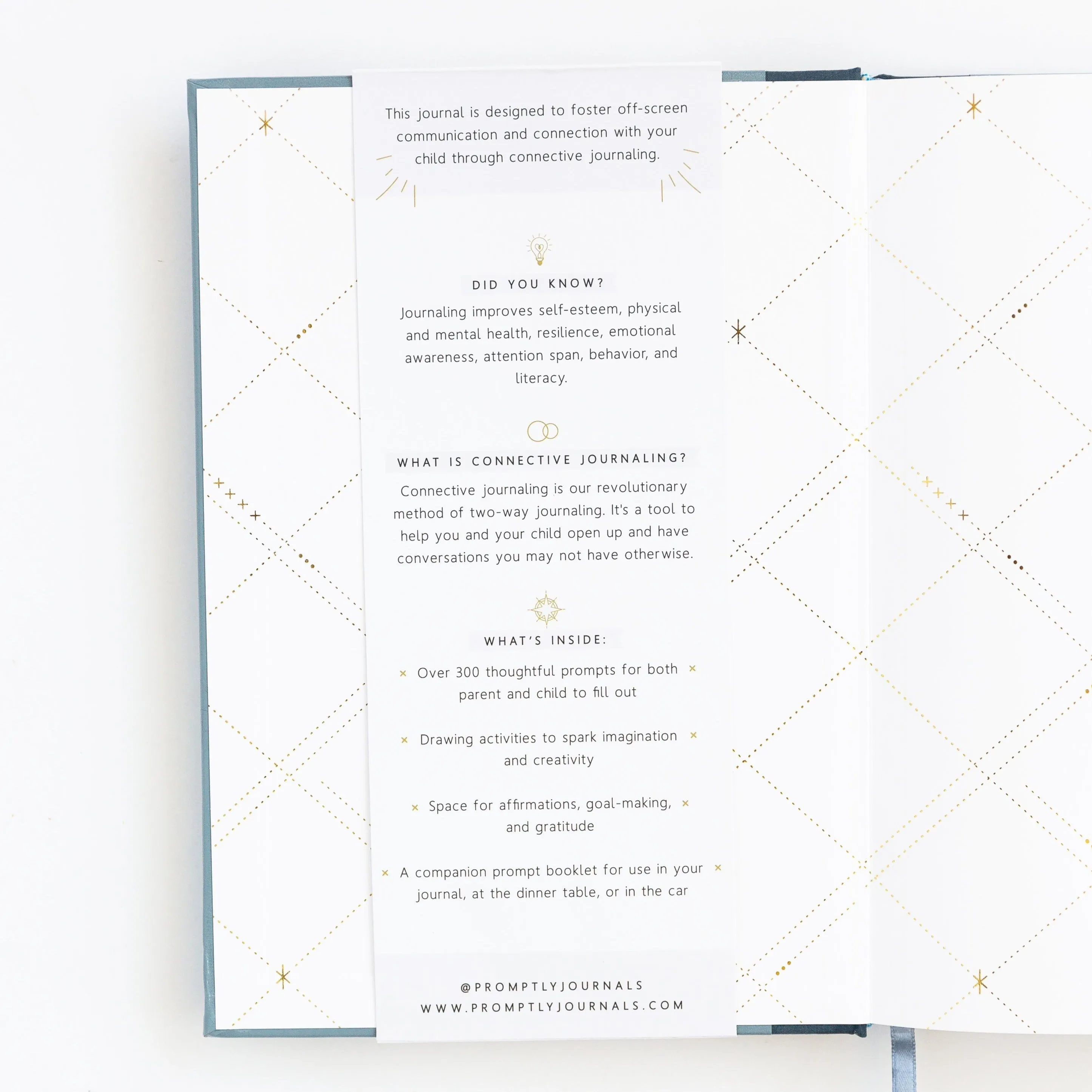 Parent   Child Connection Journal: Spark Creativity, Start Conversations (Dusty Blue)
