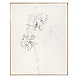Peony Sketch