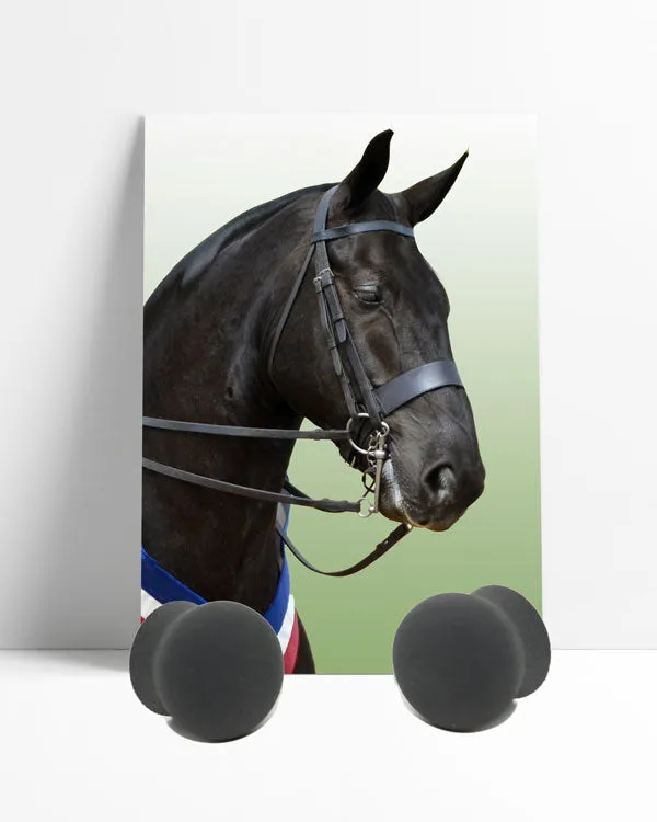 Perform Equine Ear plugs