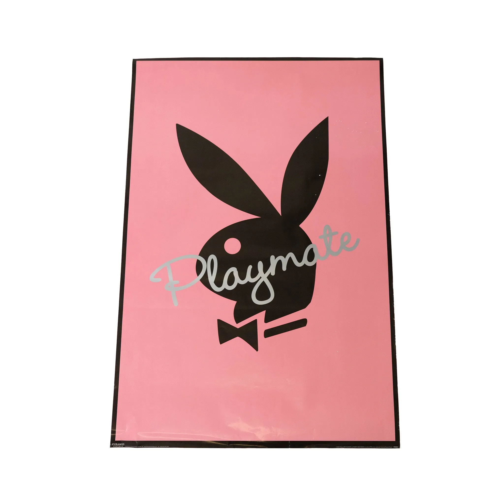 Playboy Playmate Poster