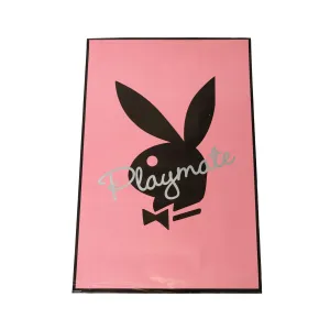 Playboy Playmate Poster