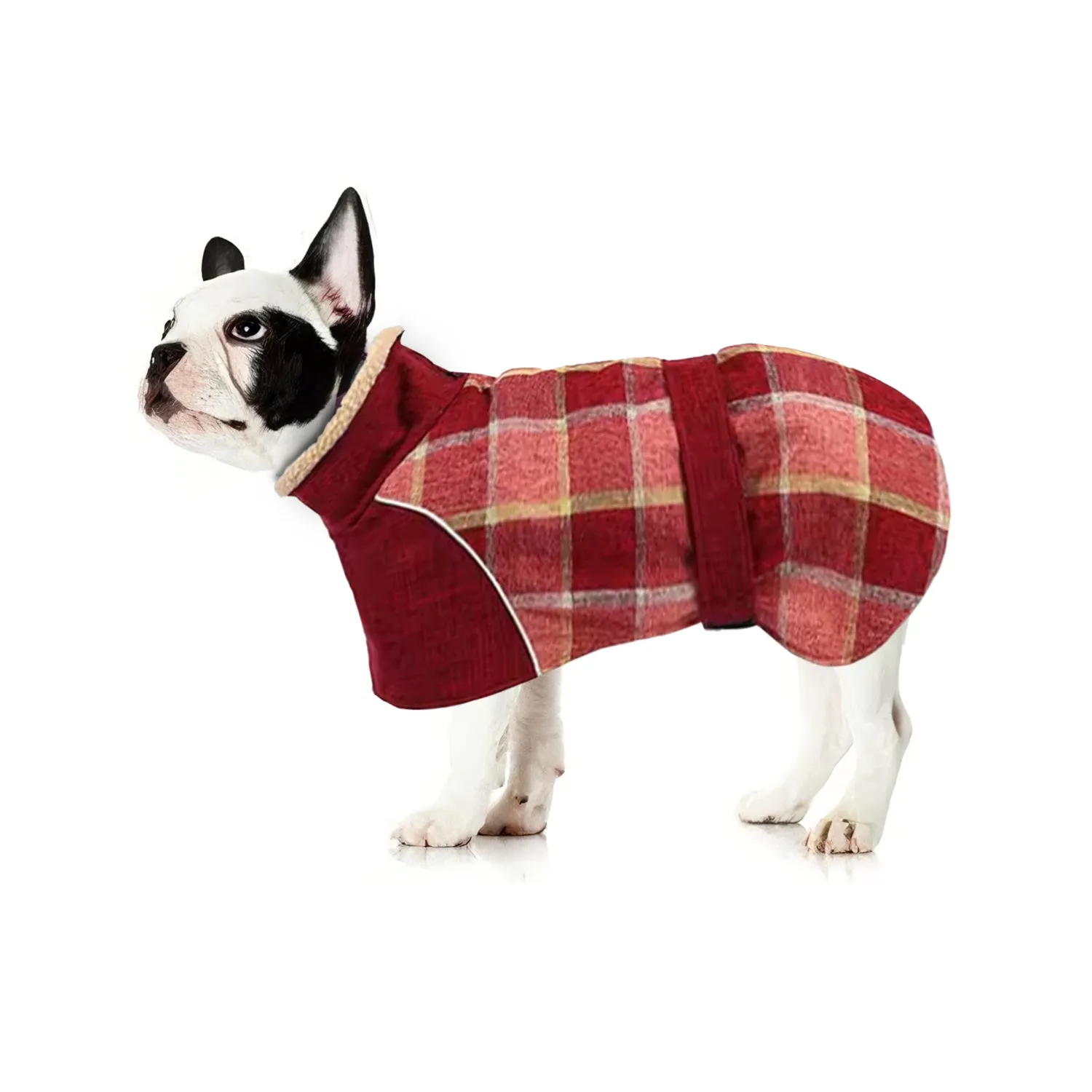 PupShield Frenchie Winter Coat Thick Reflective and Windproof Dog Jacket