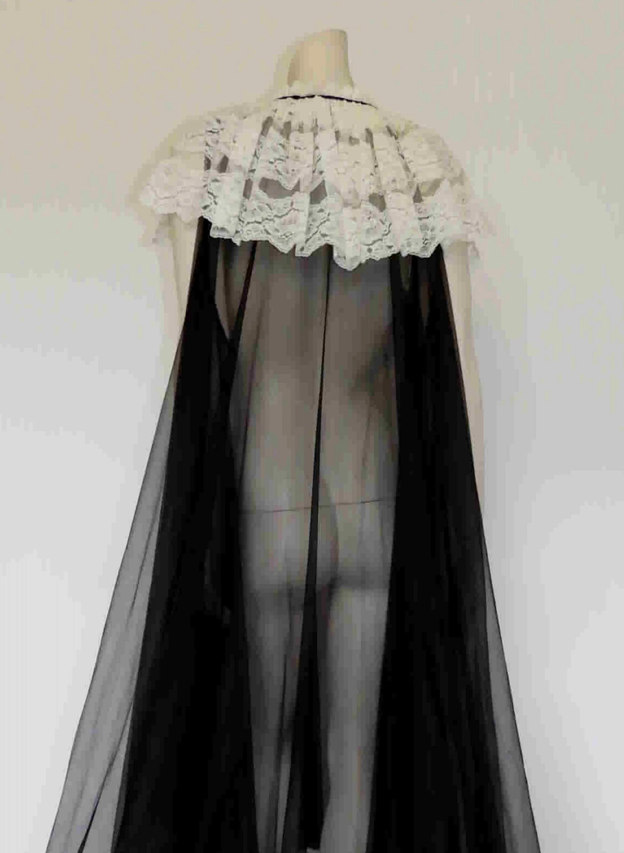 Sheer Black Peignoir, Negligee, With Ruffle & Train