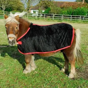 Small Pony Coral Fleece Rugs