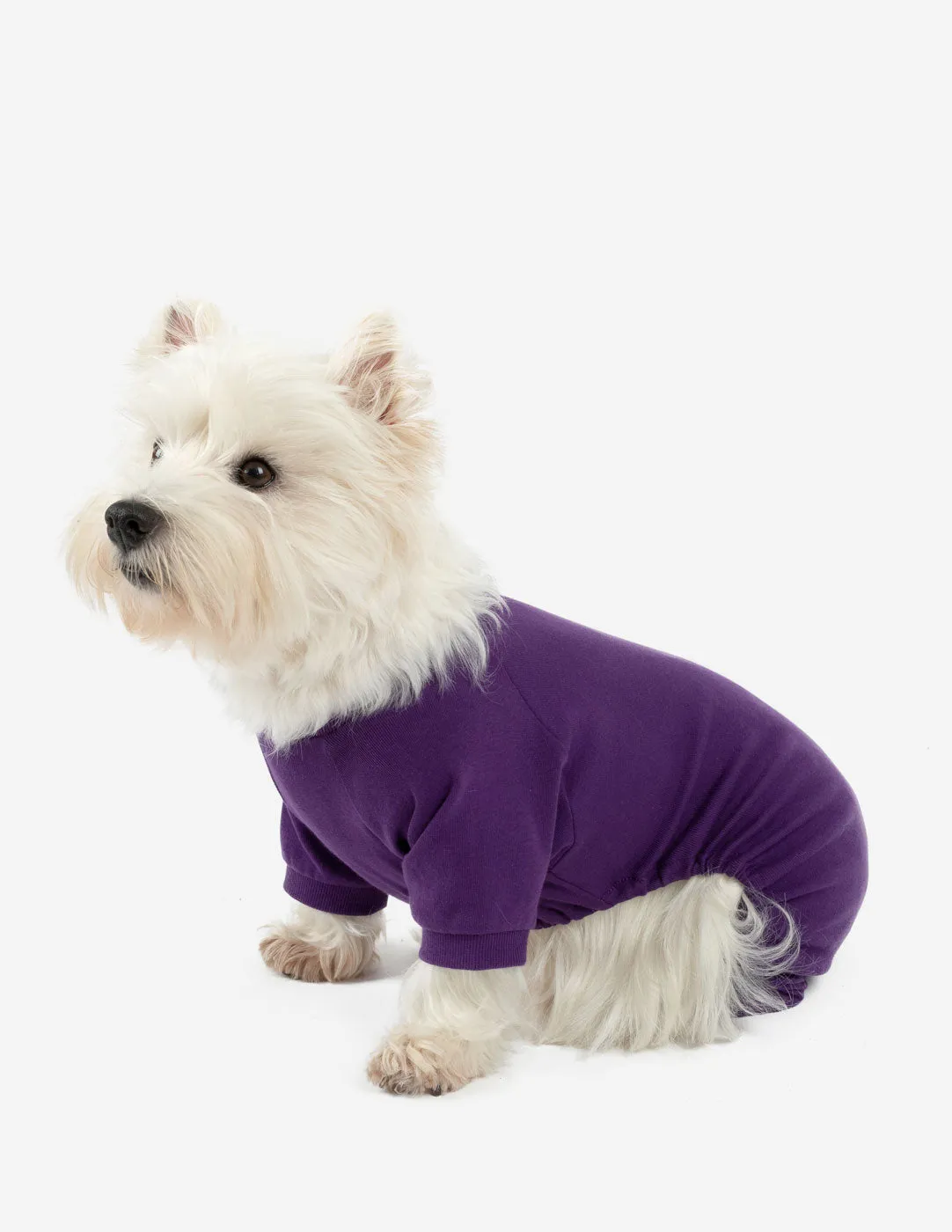 Solid Color Dark Purple Matching Family Pajama Set
