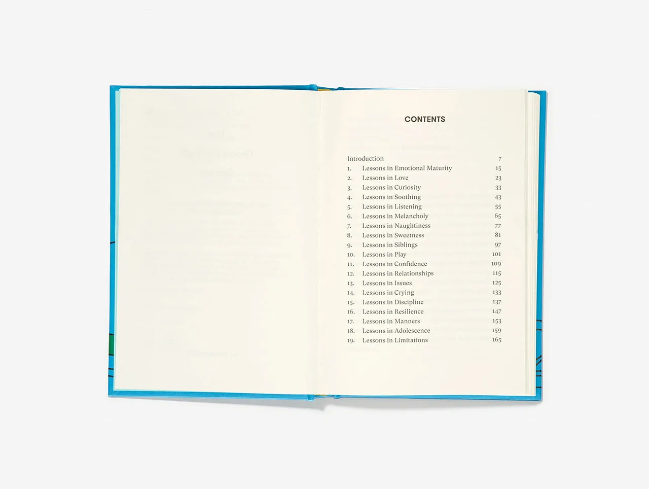 The Good Enough Parent Book