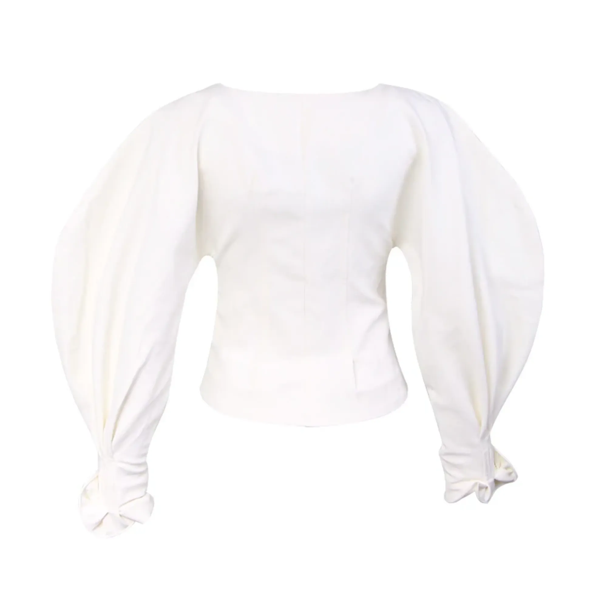 Women's Polyester V-Neck Lantern-Sleeved Slim Blouse