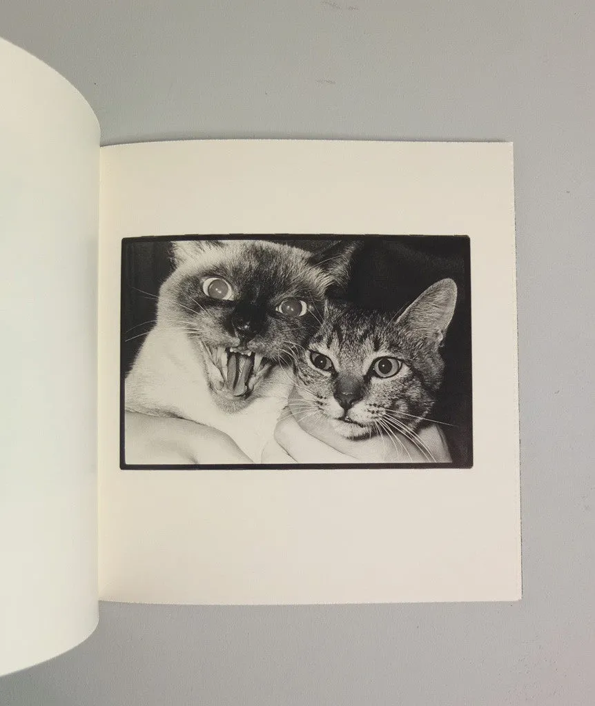Wonderful Days by Masahisa Fukase