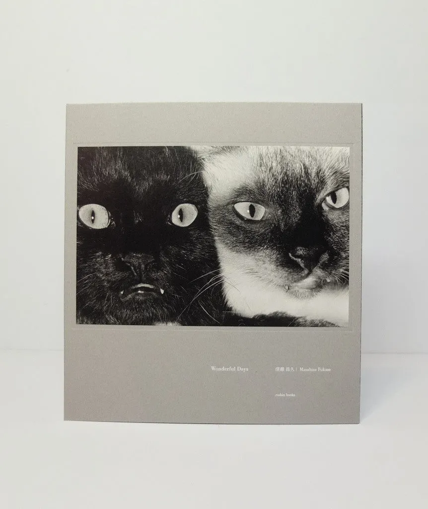 Wonderful Days by Masahisa Fukase