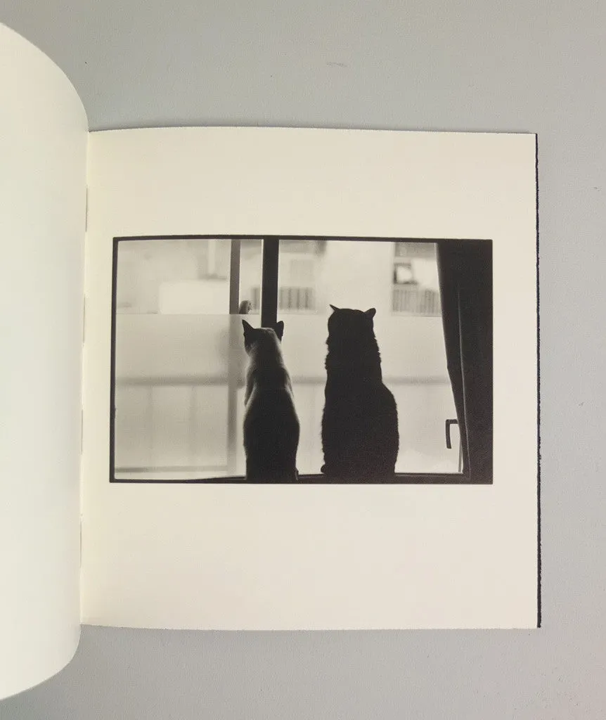 Wonderful Days by Masahisa Fukase
